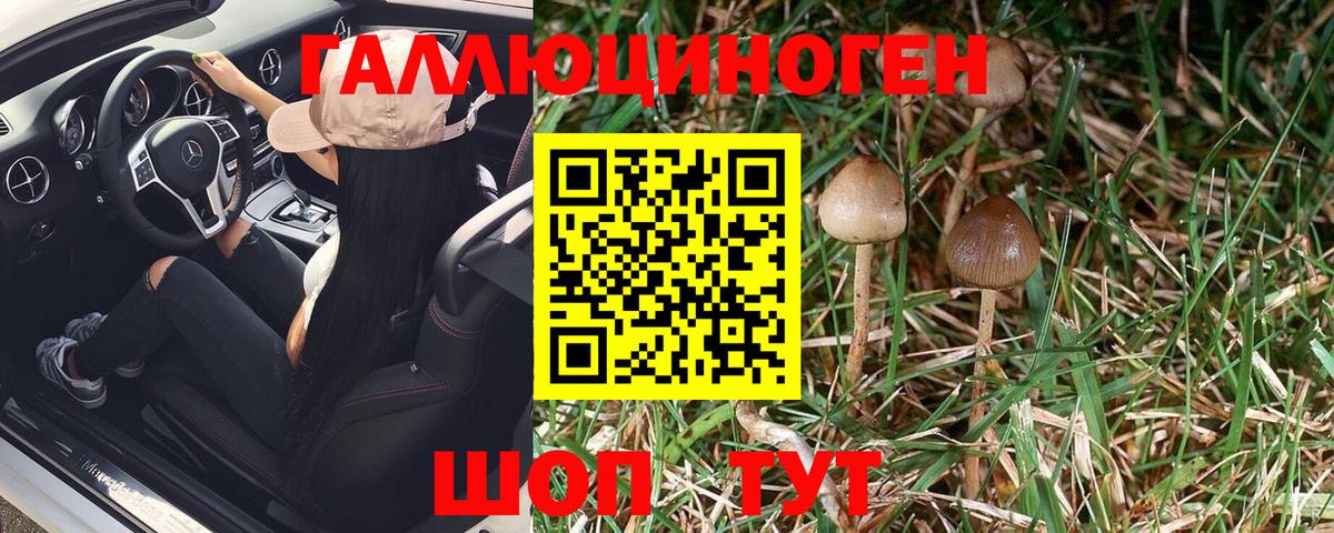 Галлюциногенные грибы Cubensis Жигулёвск