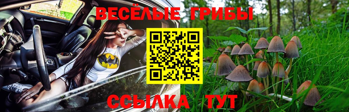 Галлюциногенные грибы мицелий  наркотики  Жигулёвск  Вход с VPN 